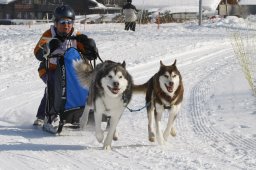 Lenk 2012 SM